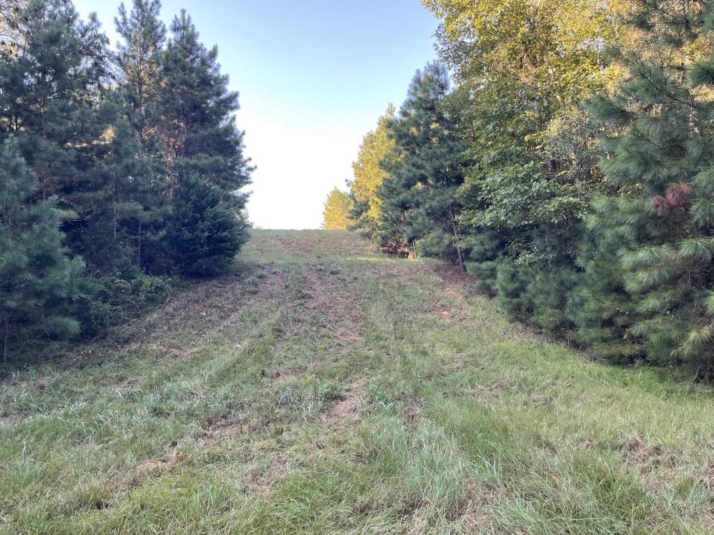 TBD (Lot 55) County Road 1060, Center, Texas image 13