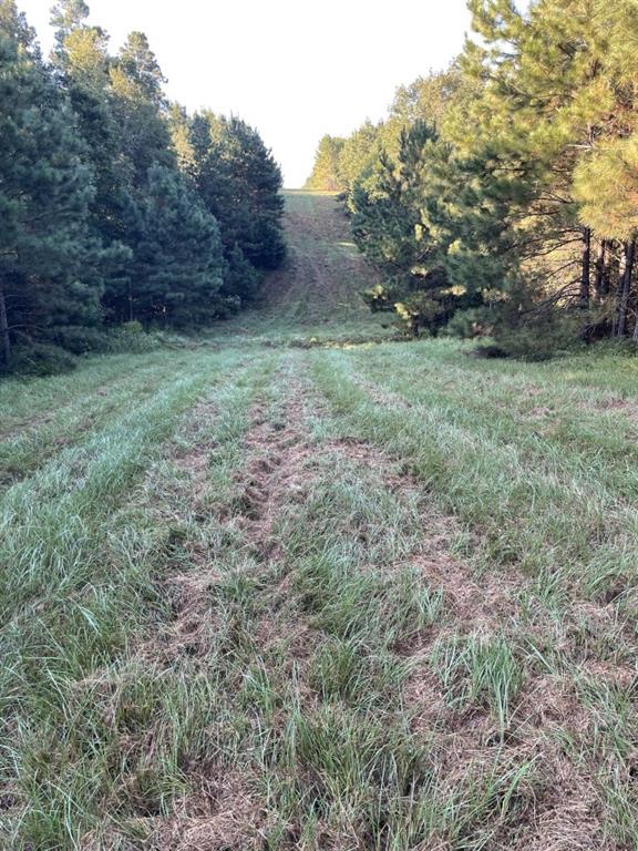 TBD (Lot 55) County Road 1060, Center, Texas image 8