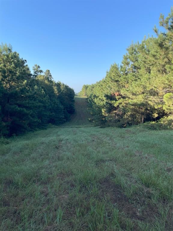 TBD (Lot 55) County Road 1060, Center, Texas image 3