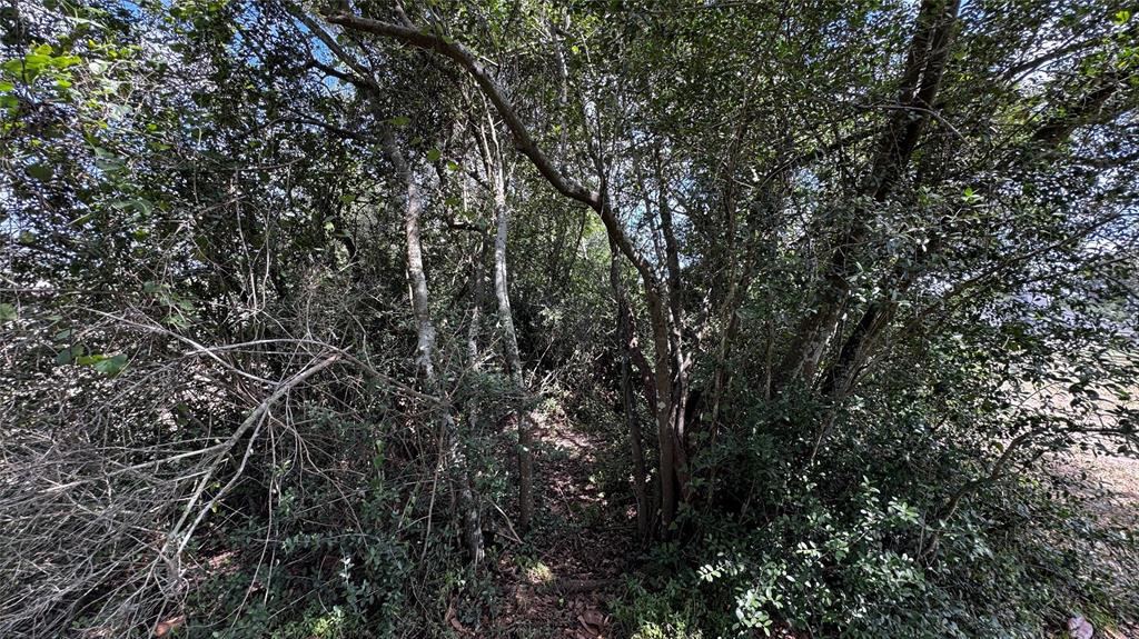104 Douglas Drive, Bellville, Texas image 29