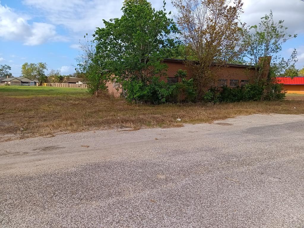 1321 E Mulberry Street, Angleton, Texas image 1