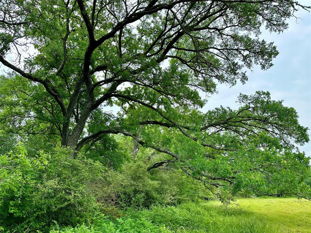 0000 Quarry Road, Brenham, Texas image 1