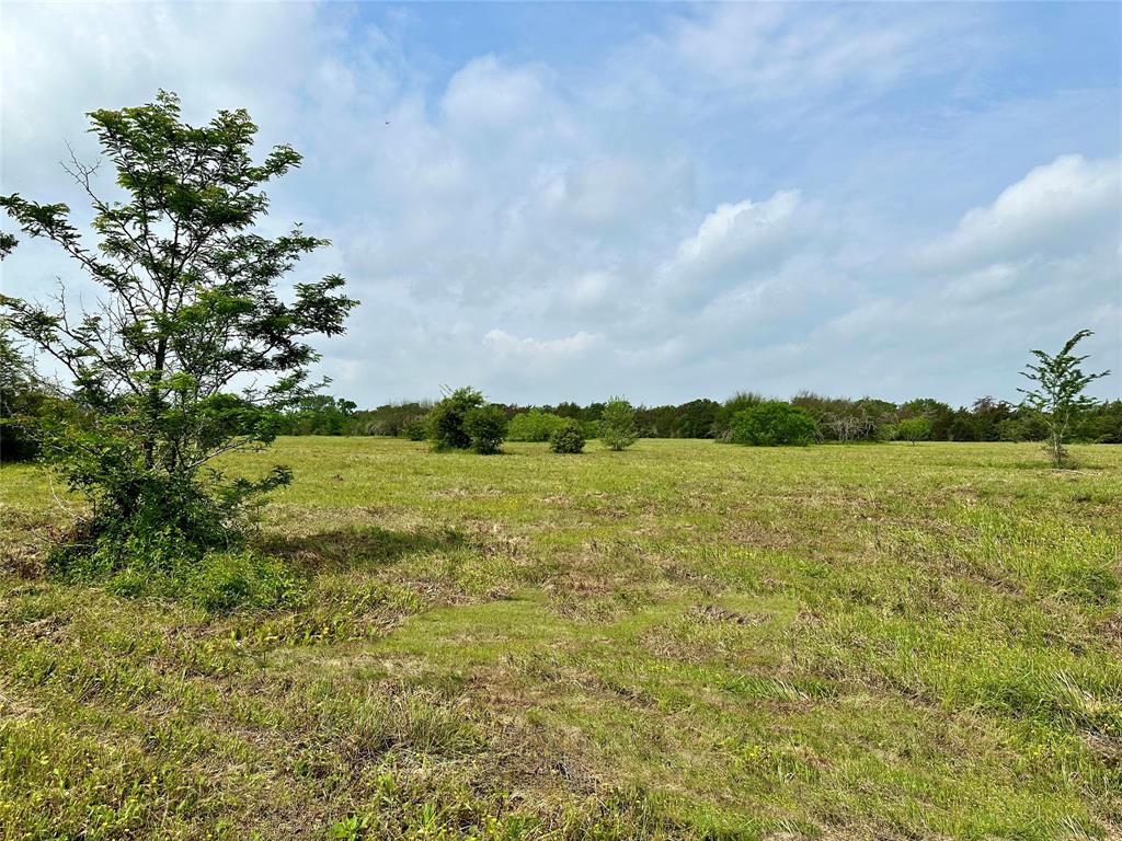 0000 Quarry Road, Brenham, Texas image 4