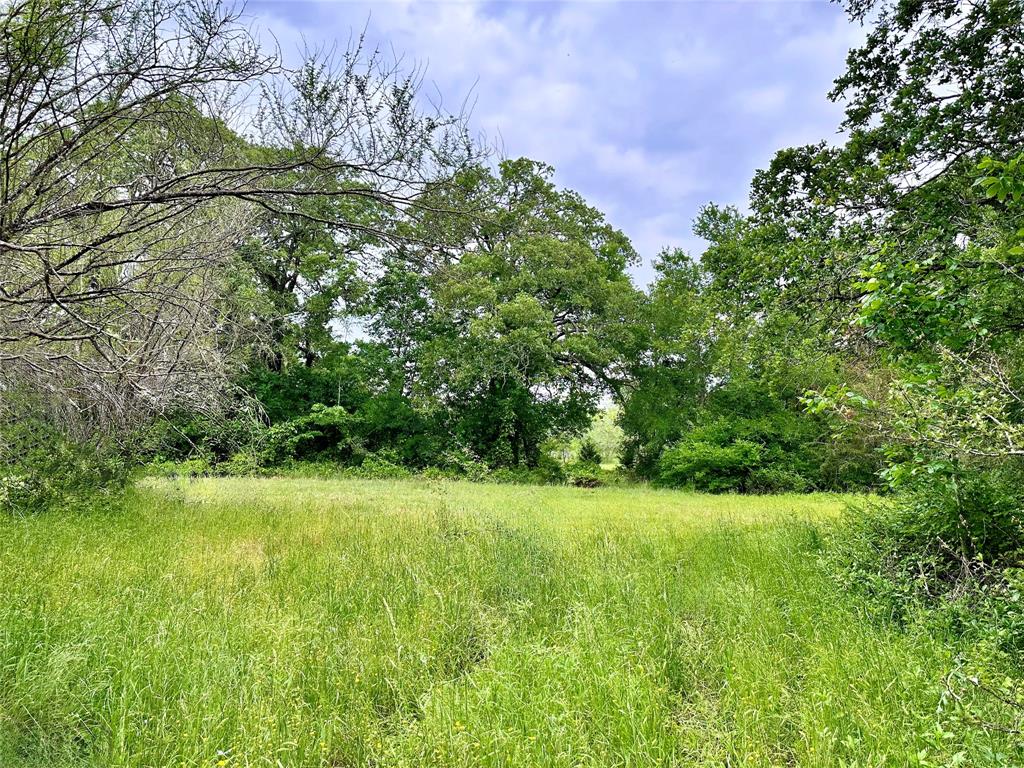 0000 Quarry Road, Brenham, Texas image 3