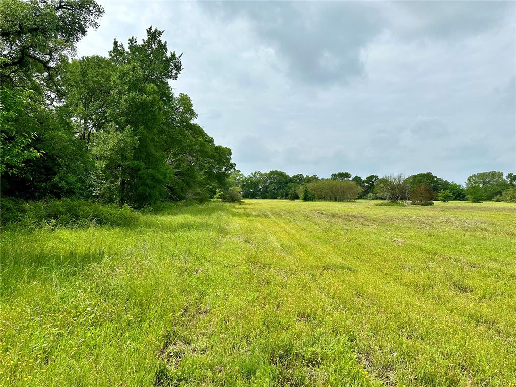 0000 Quarry Road, Brenham, Texas image 6