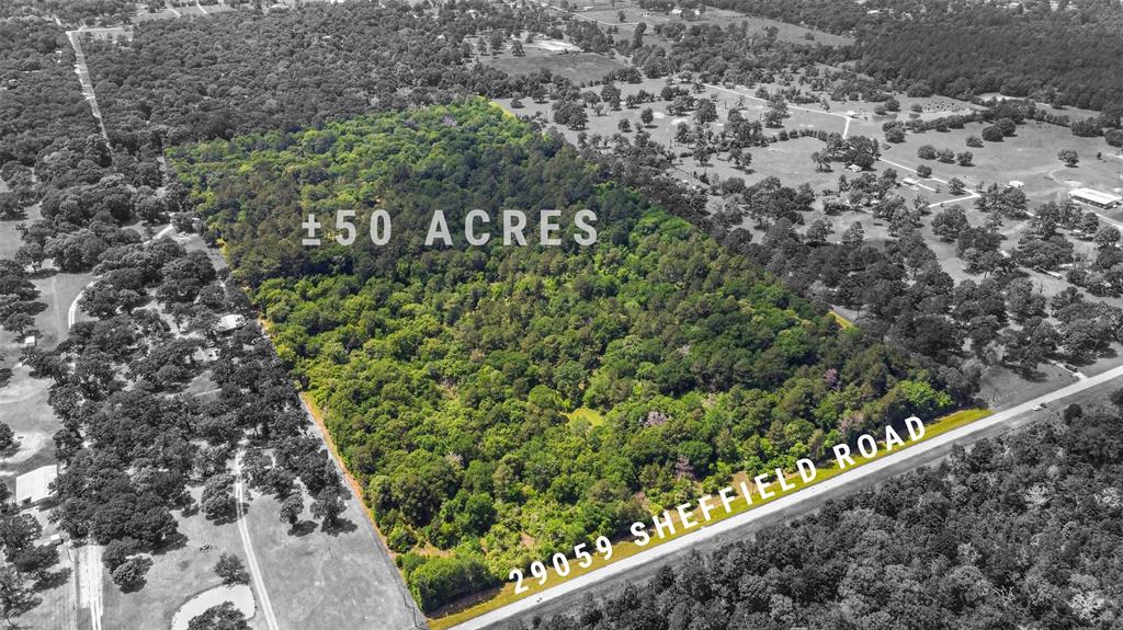 29059 Sheffield Road, Hockley, Texas image 1