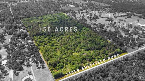 29059 Sheffield Road Hockley TX 77447