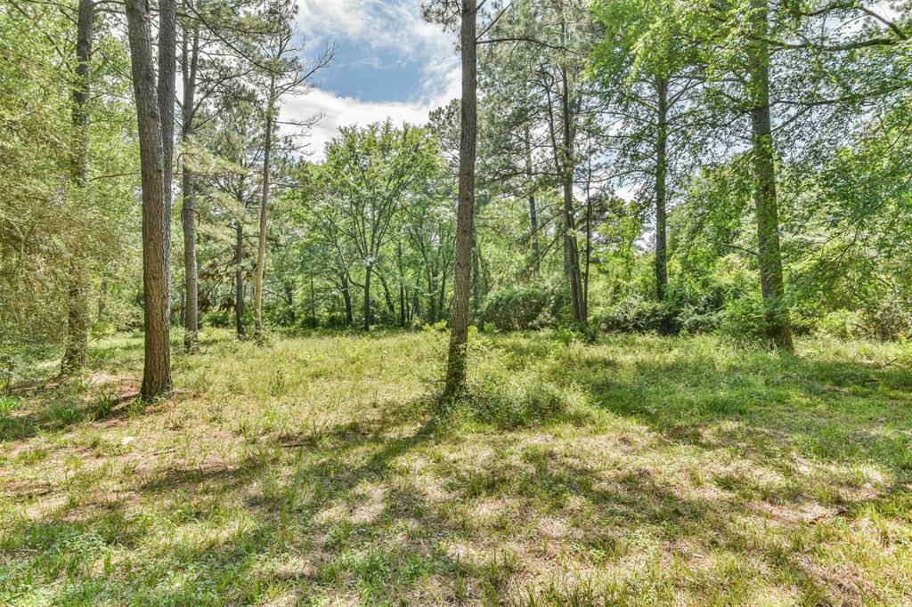 29059 Sheffield Road, Hockley, Texas image 14