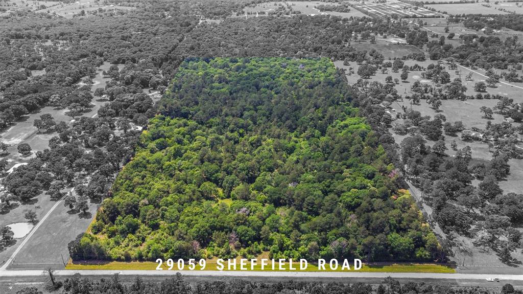 29059 Sheffield Road, Hockley, Texas image 3