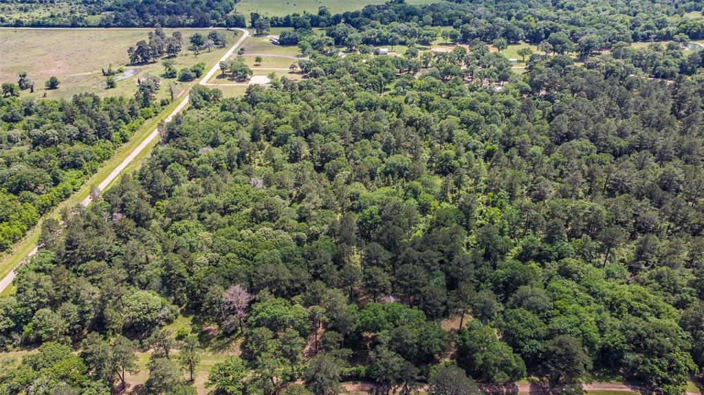29059 Sheffield Road, Hockley, Texas image 8