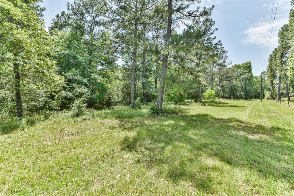 29059 Sheffield Road, Hockley, Texas image 10