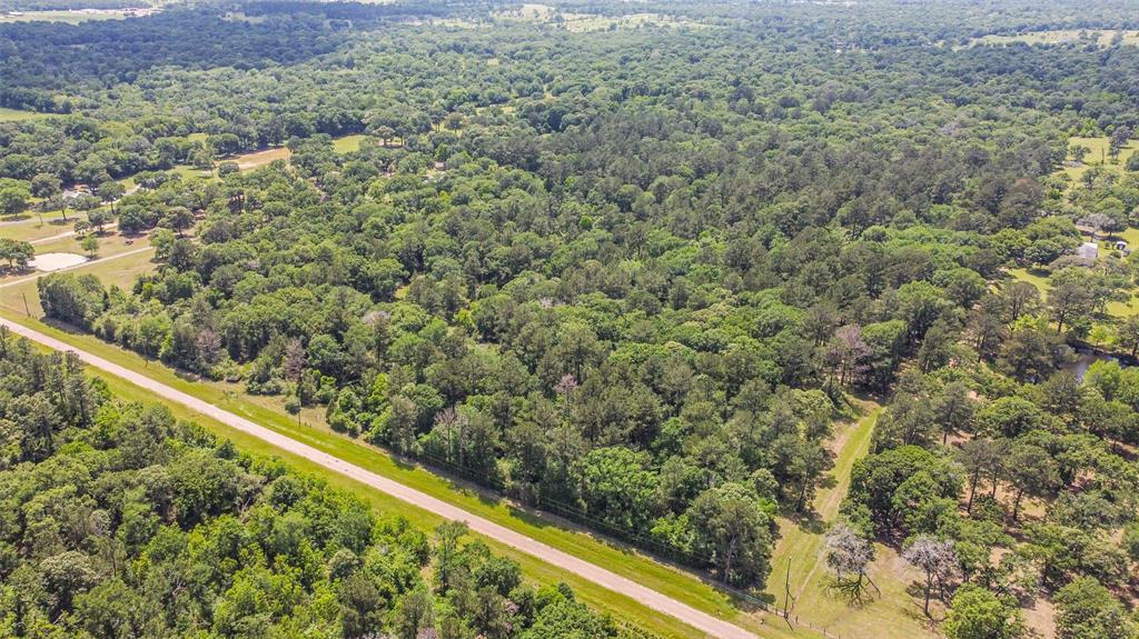 29059 Sheffield Road, Hockley, Texas image 6