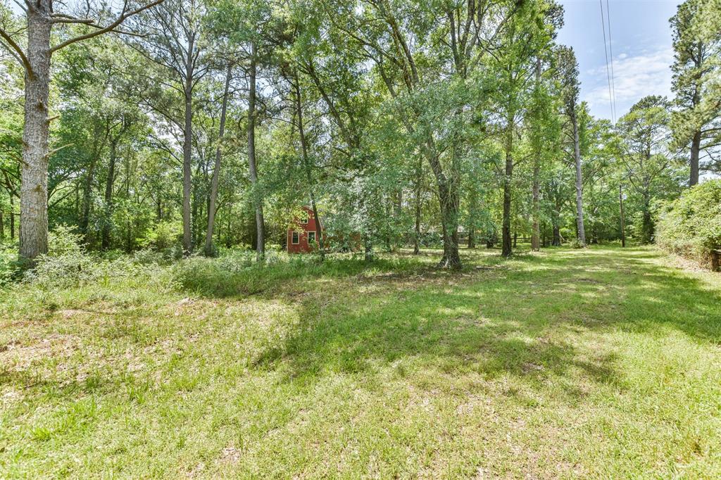 29059 Sheffield Road, Hockley, Texas image 11