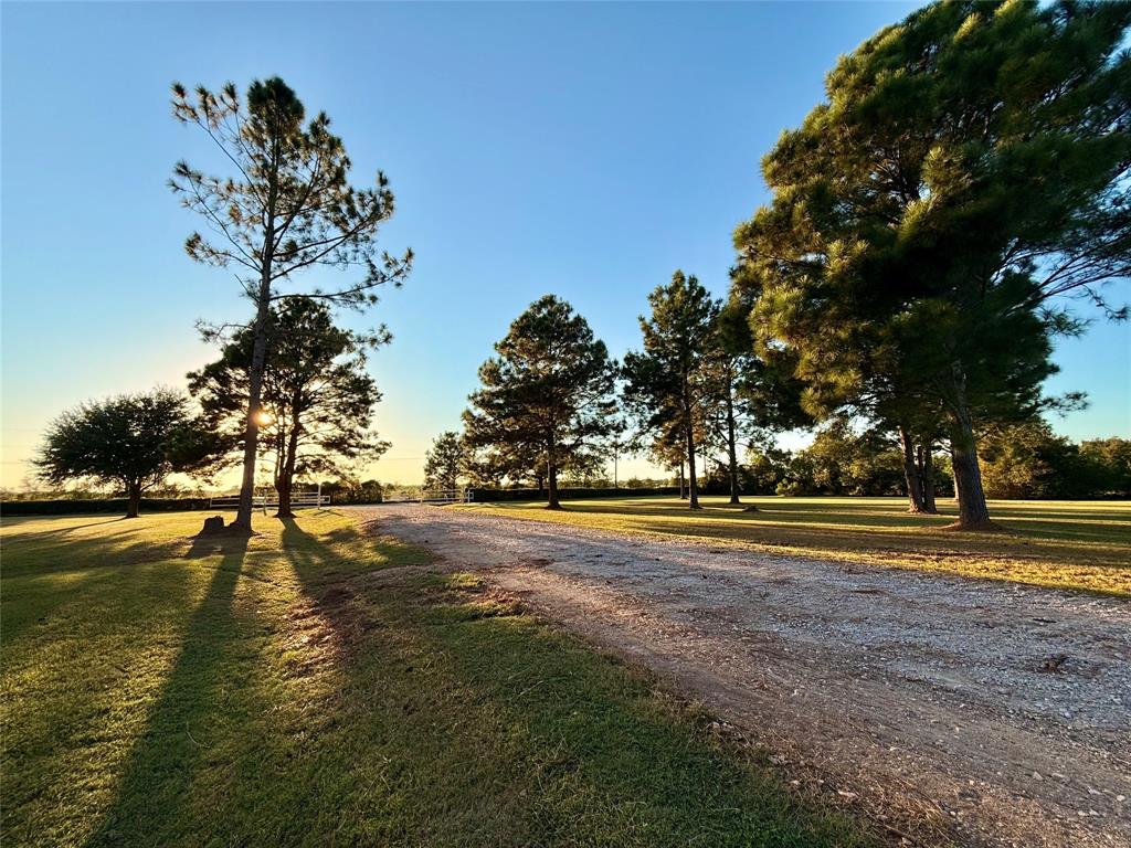 20502 Binford Road, Waller, Texas image 33