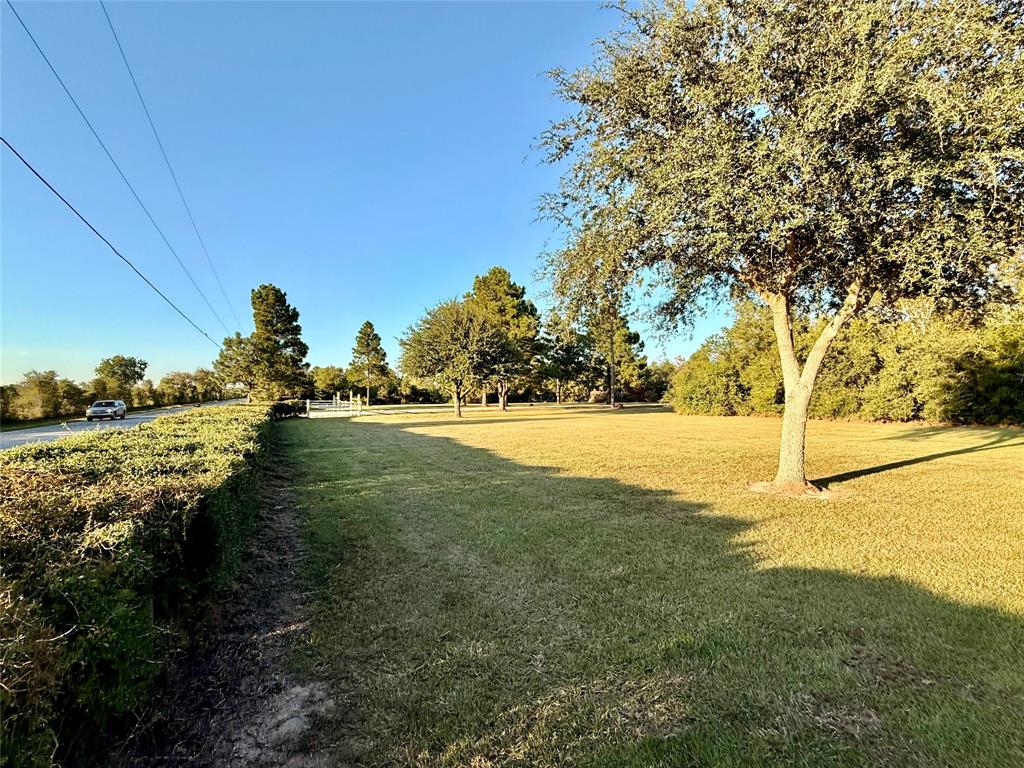 20502 Binford Road, Waller, Texas image 4