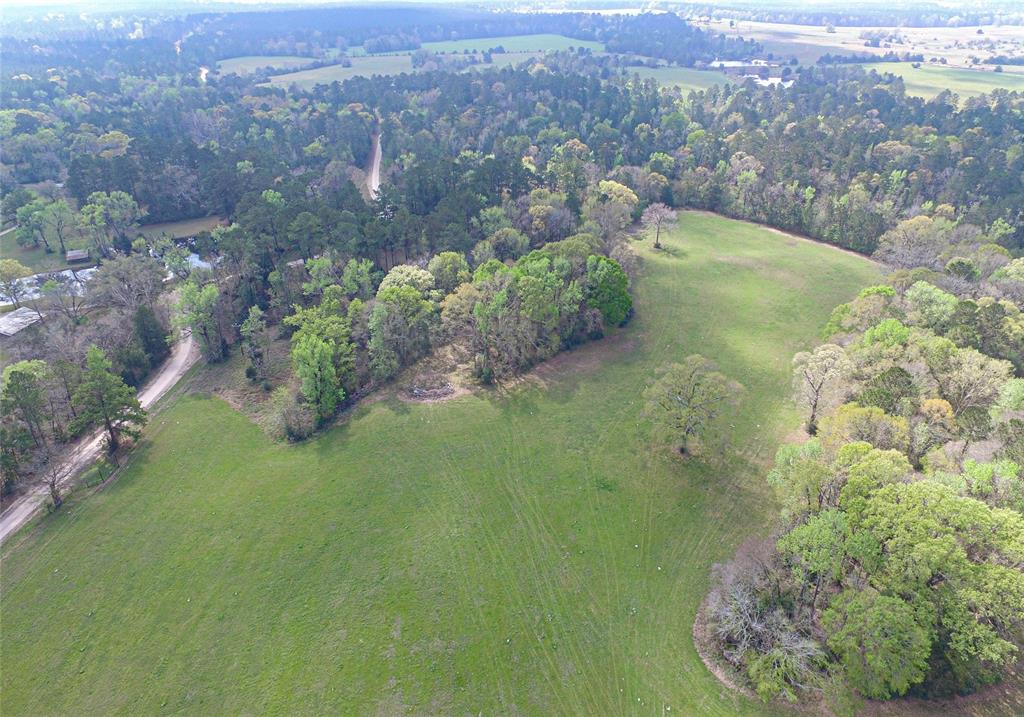 2217 Colita Loop, Livingston, Texas image 46