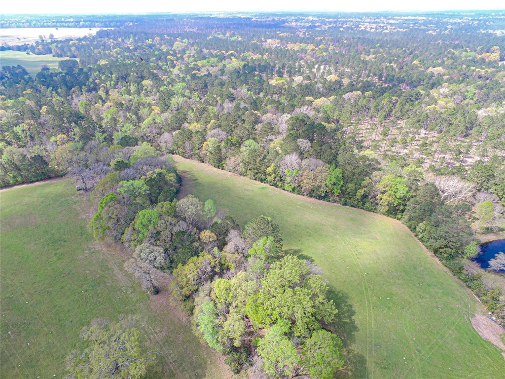 2217 Colita Loop, Livingston, Texas image 47