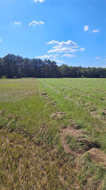 TBD Hawthorne Road, New Waverly, Texas image 1