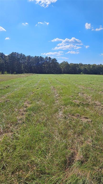 TBD Hawthorne Road, New Waverly, Texas image 4