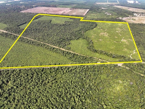 Vacant Land For Sale - 01 Fm 1008<br/> Liberty County, Dayton, TX 77535