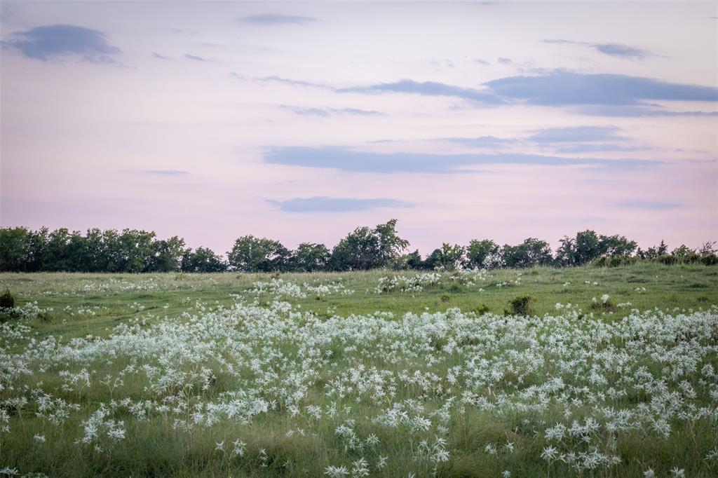 Lot 2B Vineyard View Trail, Carmine, Texas image 9