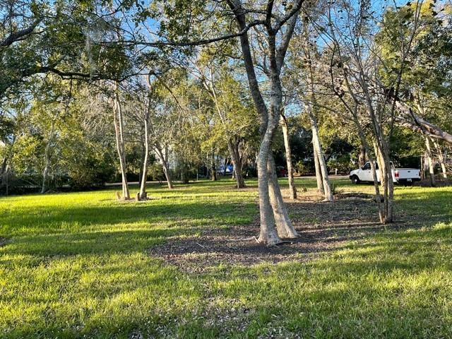 Lot 29 Block 1 Wedgewood Village Drive, Friendswood, Texas image 3