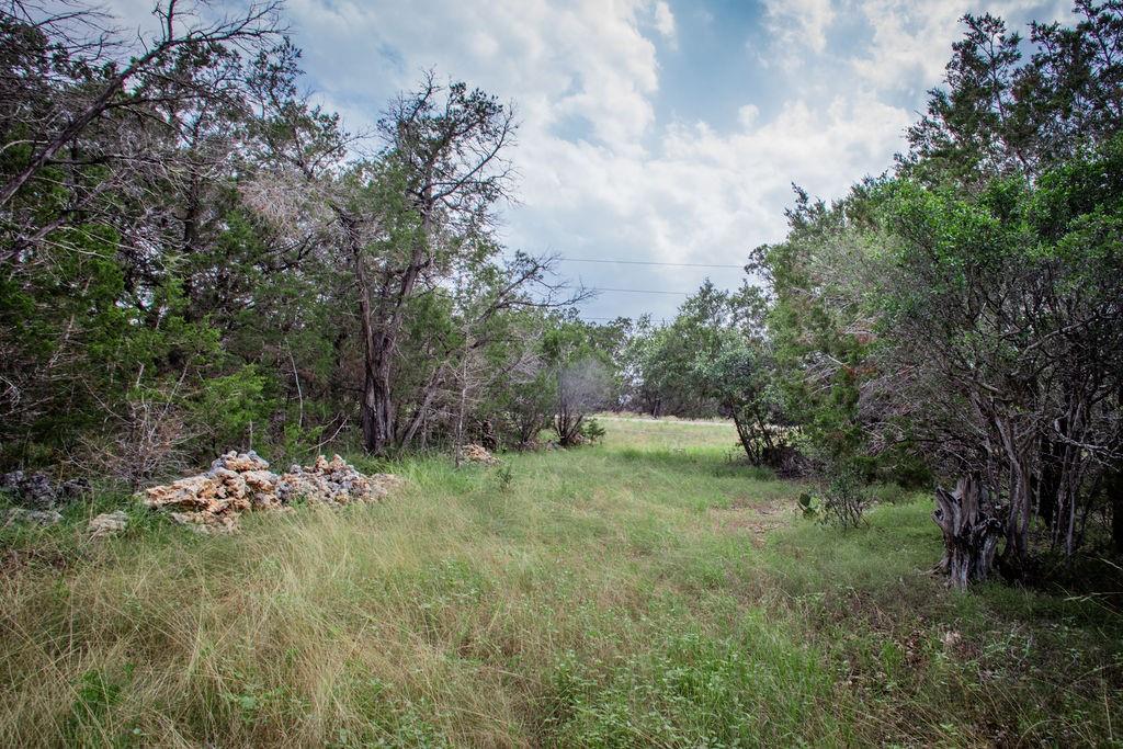 275 Hilltop Ridge, New Braunfels, Texas image 27