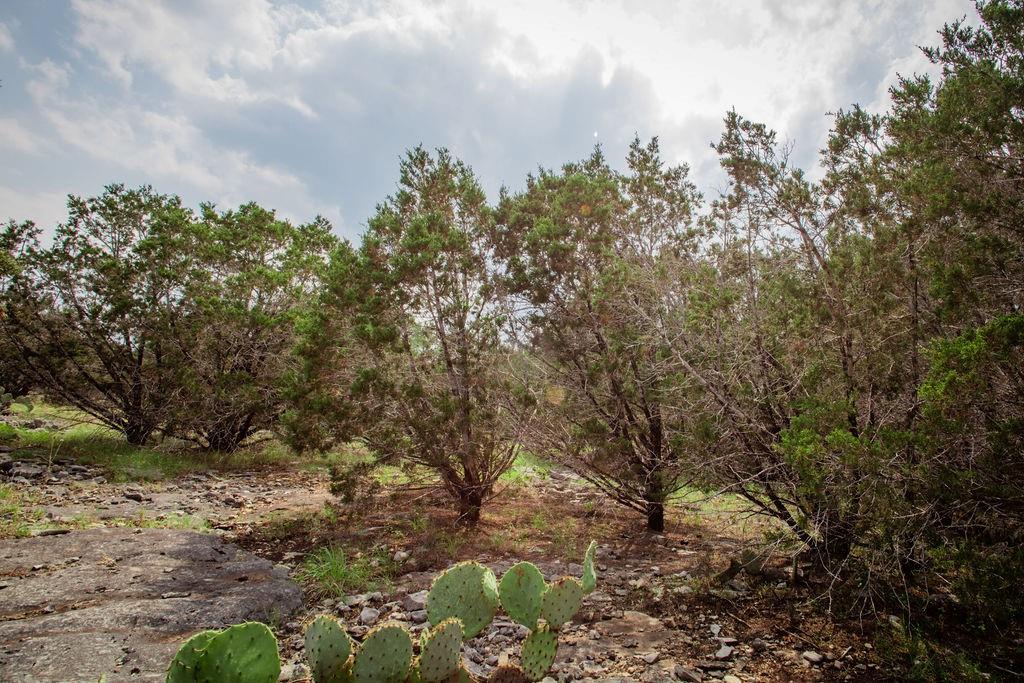 275 Hilltop Ridge, New Braunfels, Texas image 39