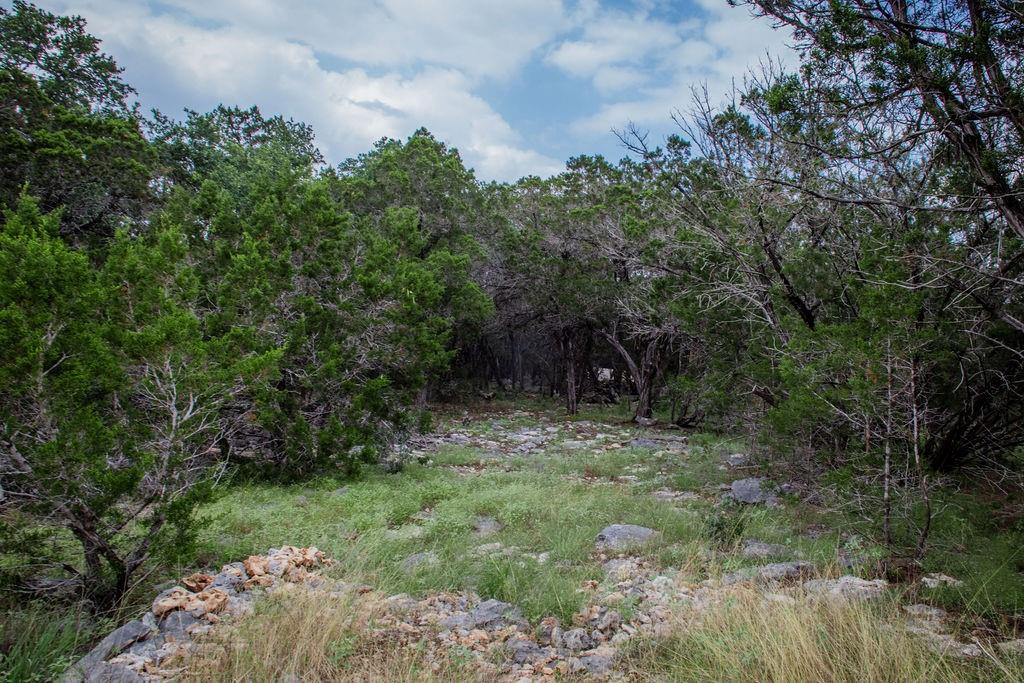 275 Hilltop Ridge, New Braunfels, Texas image 20