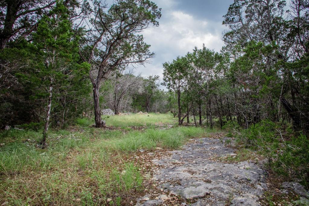 275 Hilltop Ridge, New Braunfels, Texas image 14