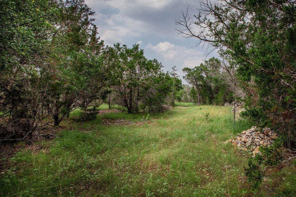 275 Hilltop Ridge, New Braunfels, Texas image 4