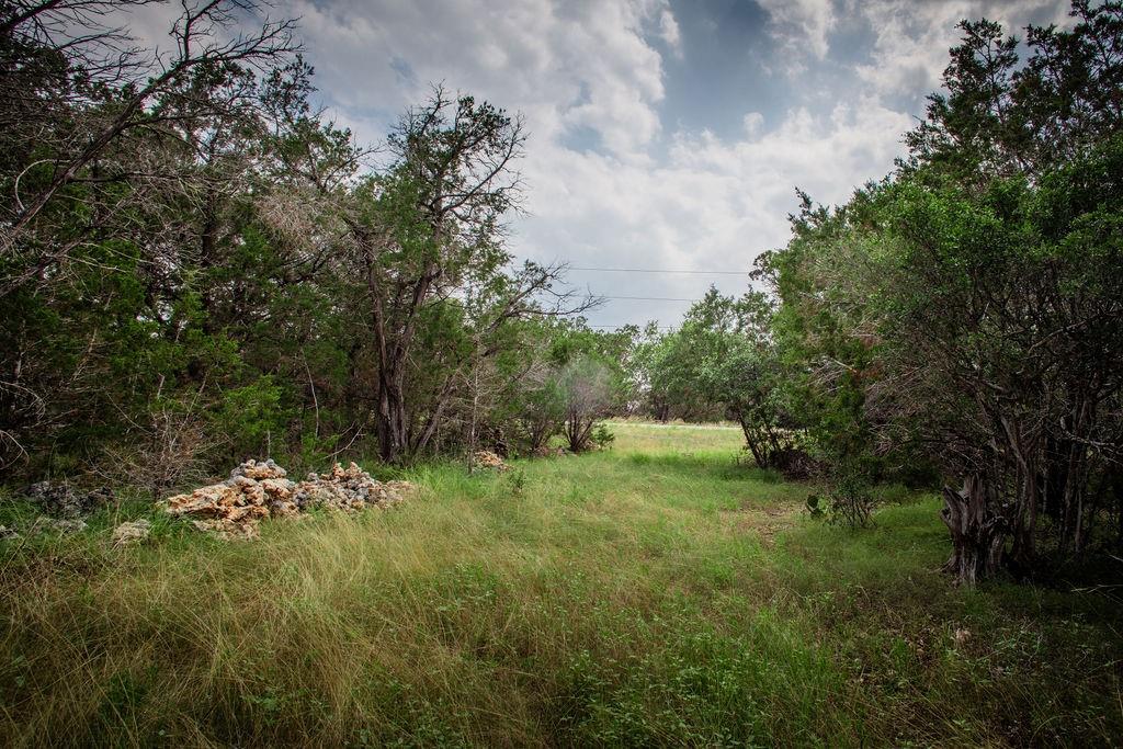 275 Hilltop Ridge, New Braunfels, Texas image 28