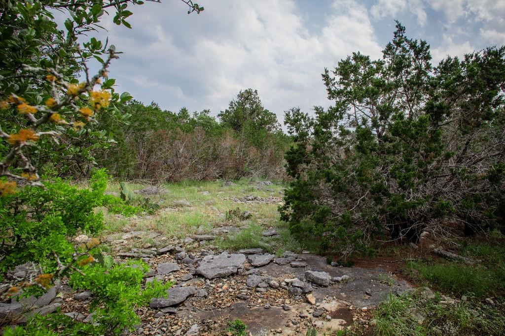 275 Hilltop Ridge, New Braunfels, Texas image 33