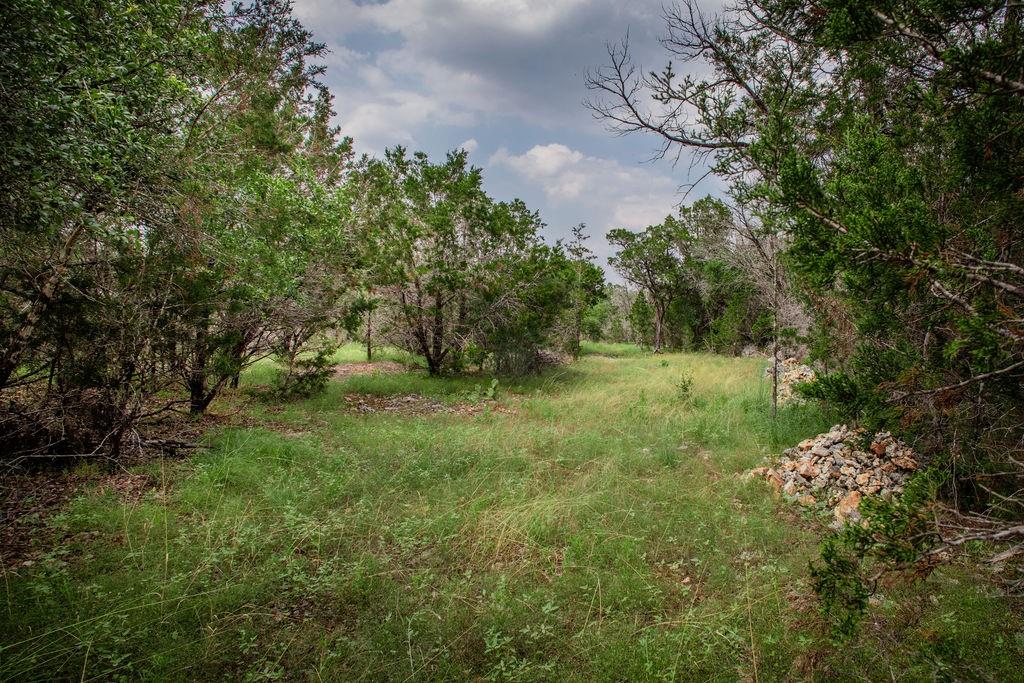 275 Hilltop Ridge, New Braunfels, Texas image 5