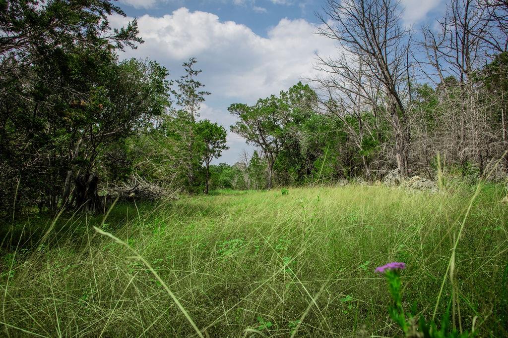 275 Hilltop Ridge, New Braunfels, Texas image 9