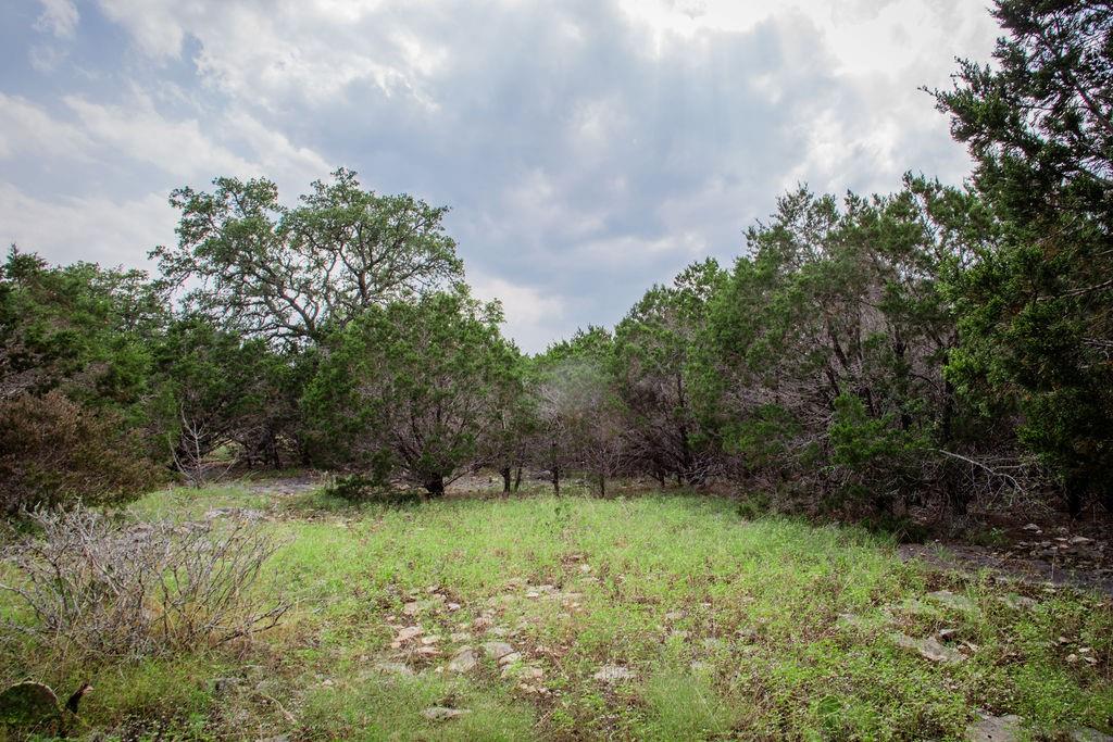 275 Hilltop Ridge, New Braunfels, Texas image 35