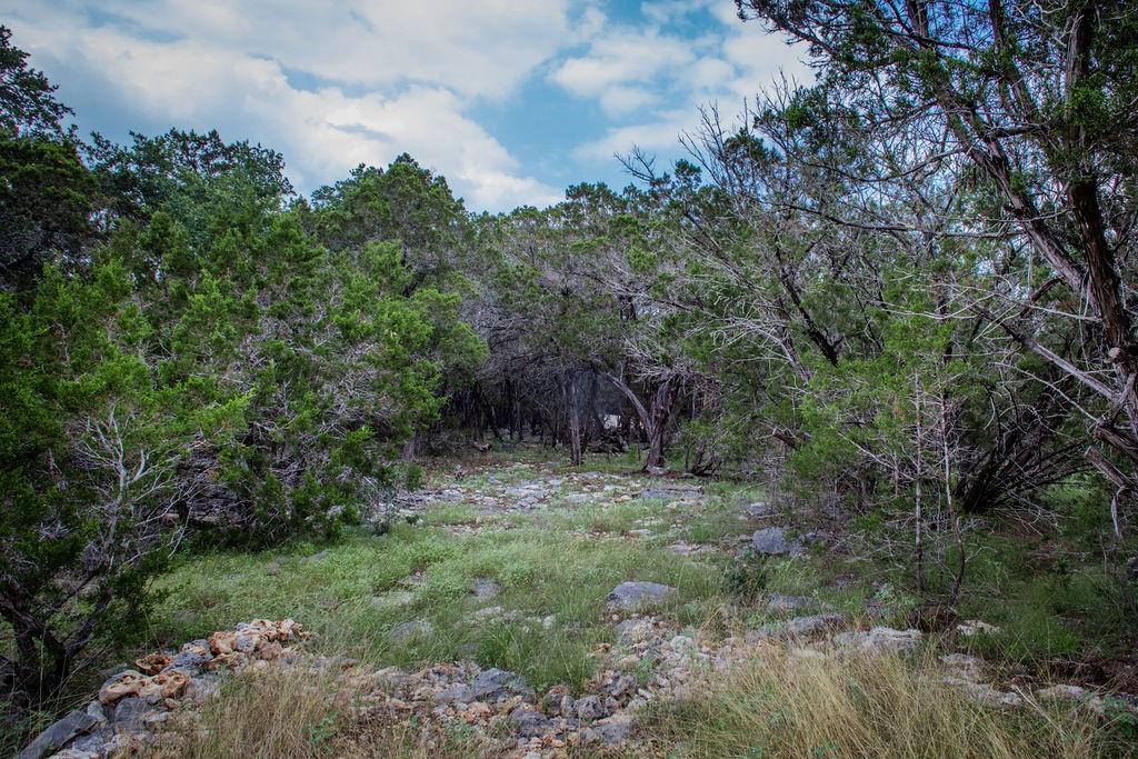 275 Hilltop Ridge, New Braunfels, Texas image 19