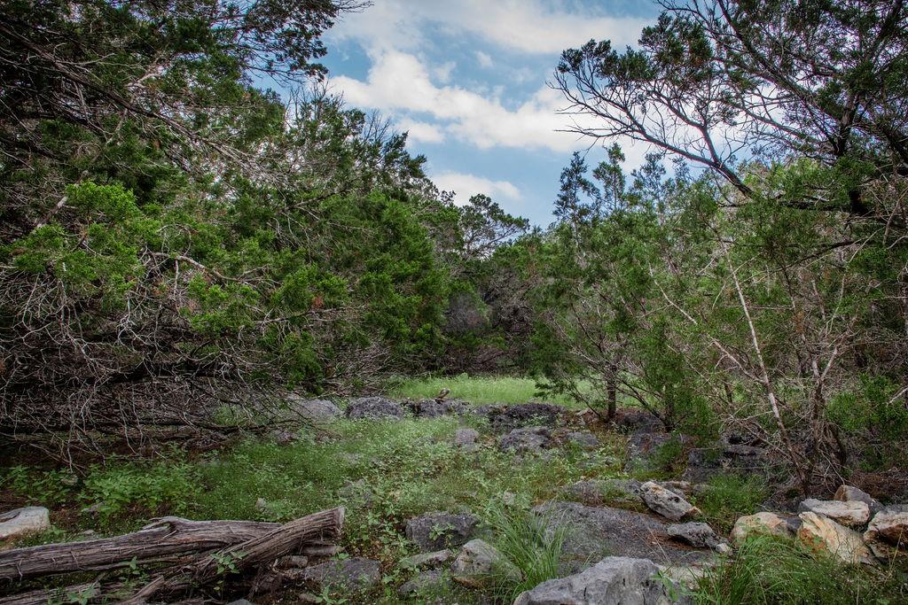 275 Hilltop Ridge, New Braunfels, Texas image 21