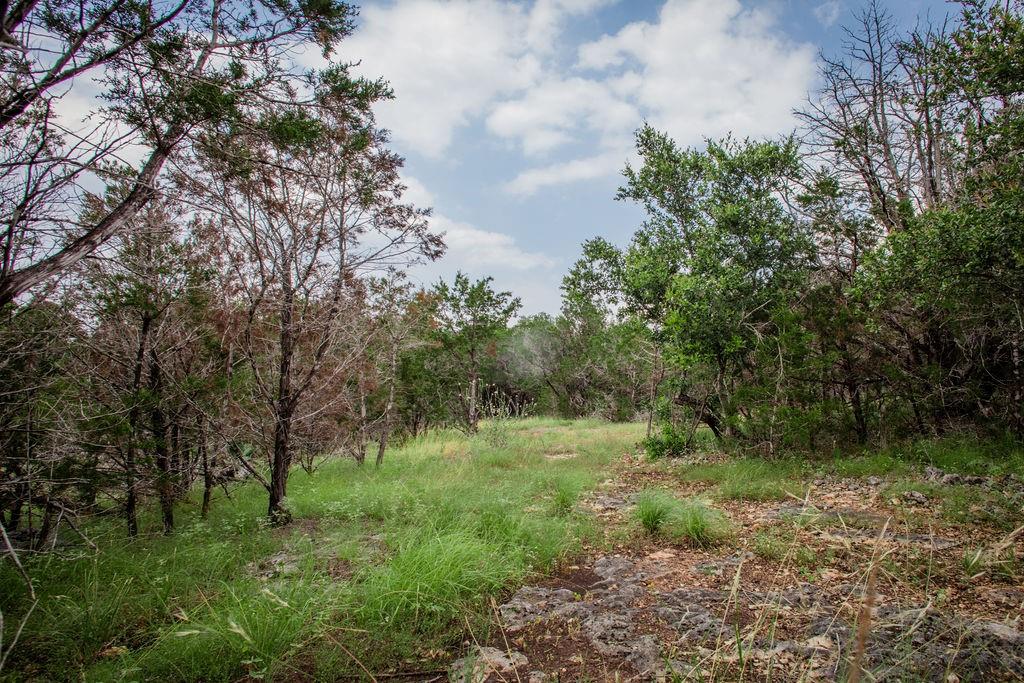 275 Hilltop Ridge, New Braunfels, Texas image 16