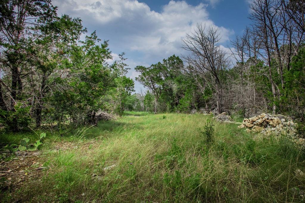 275 Hilltop Ridge, New Braunfels, Texas image 7