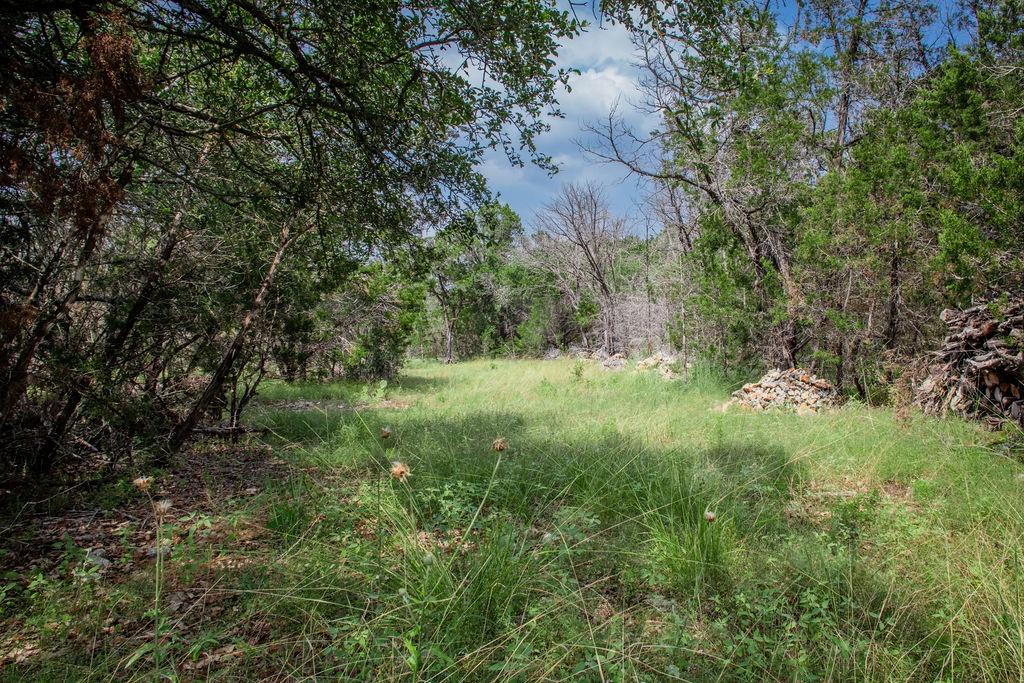 275 Hilltop Ridge, New Braunfels, Texas image 2