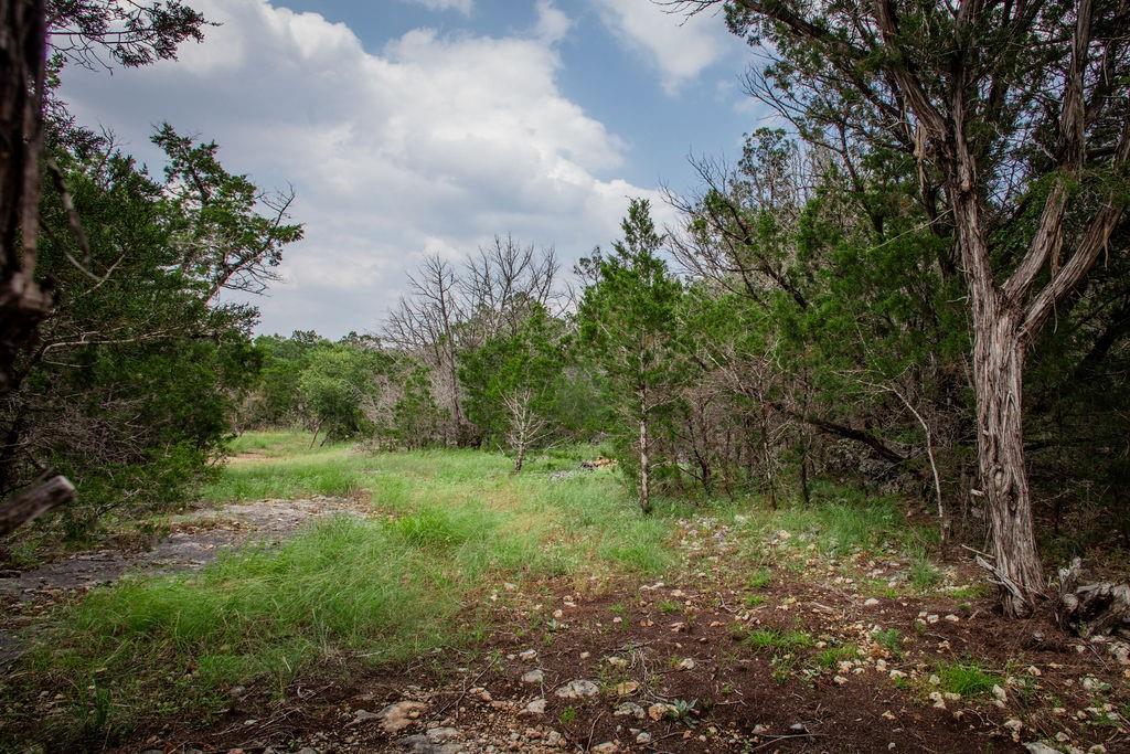 275 Hilltop Ridge, New Braunfels, Texas image 8