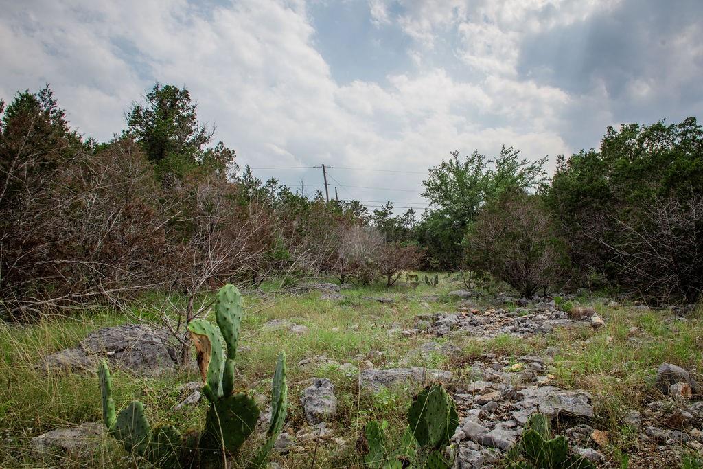 275 Hilltop Ridge, New Braunfels, Texas image 31