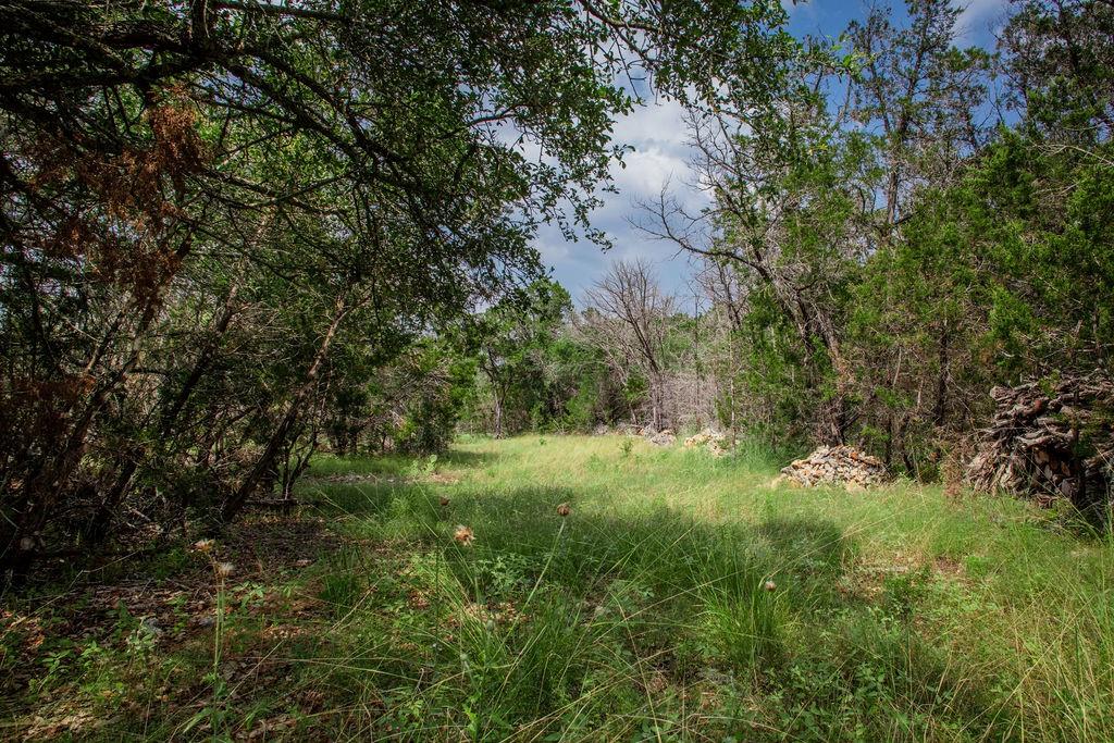 275 Hilltop Ridge, New Braunfels, Texas image 3