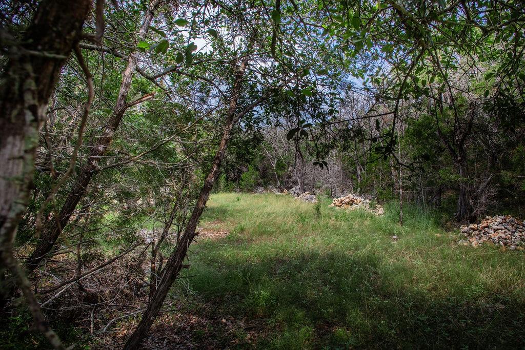 275 Hilltop Ridge, New Braunfels, Texas image 6