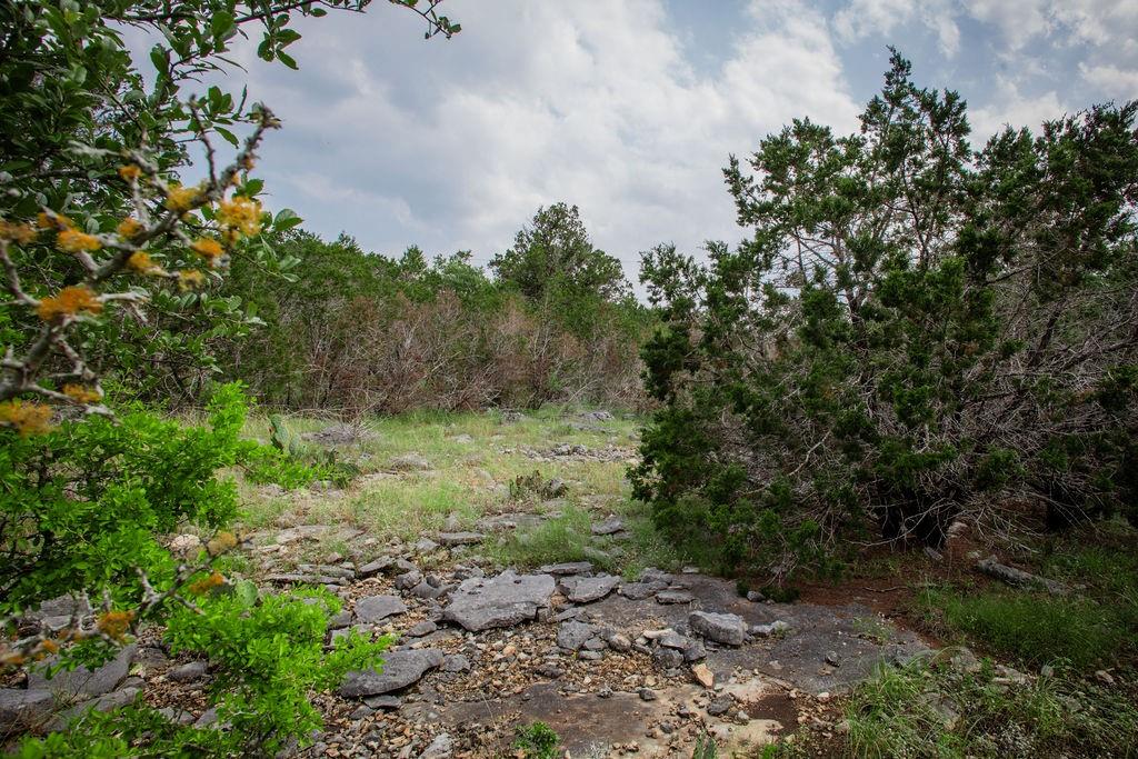 275 Hilltop Ridge, New Braunfels, Texas image 34