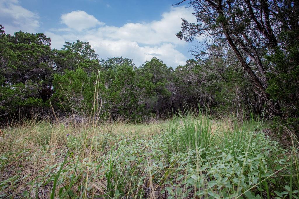 275 Hilltop Ridge, New Braunfels, Texas image 18