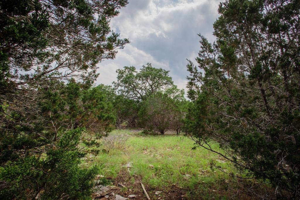 275 Hilltop Ridge, New Braunfels, Texas image 36