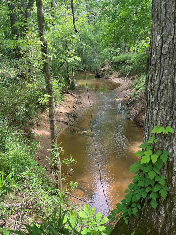 TBD St Hwy 103e, San Augustine, Texas image 21