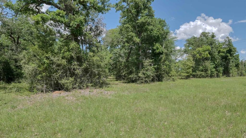 26620 Hunters Ridge Road, Hockley, Texas image 6